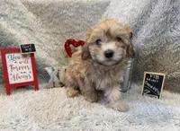 processed/1bb834a7-3e1e-4c58-96ff-e7119307c625/listing/6ce68ce0-5bb4-4505-80c3-ac268600f771/31e57bc0-3e7f-4420-a2d2-5f42c1877c3a