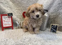 processed/1bb834a7-3e1e-4c58-96ff-e7119307c625/listing/6ce68ce0-5bb4-4505-80c3-ac268600f771/4a366f0f-4331-4117-8977-7049e7c99f5b