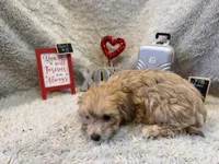 processed/1bb834a7-3e1e-4c58-96ff-e7119307c625/listing/6ce68ce0-5bb4-4505-80c3-ac268600f771/602e904f-1cb1-4c59-be55-f6381b2c0e83