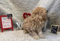 processed/1bb834a7-3e1e-4c58-96ff-e7119307c625/listing/6ce68ce0-5bb4-4505-80c3-ac268600f771/7f6d0d58-b3fa-46c0-ba54-8ffad4a860dd