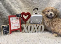 processed/1bb834a7-3e1e-4c58-96ff-e7119307c625/listing/6ce68ce0-5bb4-4505-80c3-ac268600f771/af34aa32-7e8c-4431-9cfc-33dedbaedec0