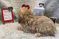 processed/1bb834a7-3e1e-4c58-96ff-e7119307c625/listing/6ce68ce0-5bb4-4505-80c3-ac268600f771/afabff97-6dd5-4029-901c-034af045822b