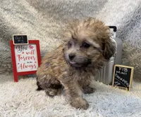 processed/1bb834a7-3e1e-4c58-96ff-e7119307c625/listing/a05ac975-4f7f-4624-9eab-4740578eb684/1a4bb76a-d227-4e7c-a532-ce166eb258f1