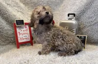 processed/1bb834a7-3e1e-4c58-96ff-e7119307c625/listing/a05ac975-4f7f-4624-9eab-4740578eb684/221a1edc-55e5-4574-bc1b-52e5837abd07