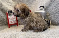 processed/1bb834a7-3e1e-4c58-96ff-e7119307c625/listing/a05ac975-4f7f-4624-9eab-4740578eb684/71004cc1-25f1-446f-b131-0db5f5fc6de1