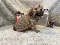 processed/1bb834a7-3e1e-4c58-96ff-e7119307c625/listing/a05ac975-4f7f-4624-9eab-4740578eb684/7967f1e0-f639-4c79-9797-ae14f6ac6150