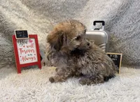 processed/1bb834a7-3e1e-4c58-96ff-e7119307c625/listing/a05ac975-4f7f-4624-9eab-4740578eb684/b8c88c50-7abb-4492-9727-4808dede4003