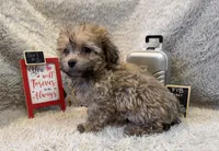 processed/1bb834a7-3e1e-4c58-96ff-e7119307c625/listing/a05ac975-4f7f-4624-9eab-4740578eb684/db77a109-338f-4a2f-bca3-a5376e1b4828