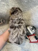 processed/1bb834a7-3e1e-4c58-96ff-e7119307c625/listing/d26cf505-b73f-4201-b8cc-0a374a6eacdb/02d9df81-e837-467f-aa86-da26a1c65509