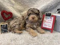 processed/1bb834a7-3e1e-4c58-96ff-e7119307c625/listing/d26cf505-b73f-4201-b8cc-0a374a6eacdb/357e1679-19a5-428c-8e9a-b3d02fb15519