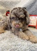 processed/1bb834a7-3e1e-4c58-96ff-e7119307c625/listing/d26cf505-b73f-4201-b8cc-0a374a6eacdb/e4c9c59e-7c4a-443a-9888-81ab5843fa20