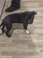 processed/1bb88194-0357-4bce-afa6-68996e99bd38/listing/9d25a5d1-5fa9-4926-bc3f-5647b3ec584a/04ea4918-c491-4bfc-96a6-457a115c74d1