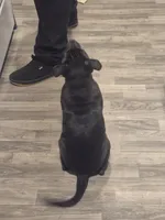 processed/1bb88194-0357-4bce-afa6-68996e99bd38/listing/9d25a5d1-5fa9-4926-bc3f-5647b3ec584a/89ca8452-9a83-4f39-abc5-8fd02ac7049a