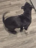 processed/1bb88194-0357-4bce-afa6-68996e99bd38/listing/9d25a5d1-5fa9-4926-bc3f-5647b3ec584a/a678e581-edde-491b-9cdf-8b2378bf2967