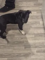 processed/1bb88194-0357-4bce-afa6-68996e99bd38/listing/9d25a5d1-5fa9-4926-bc3f-5647b3ec584a/c4759970-efec-4e25-8221-4f4e512f2a98