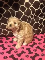 processed/1bbf24db-863e-47b9-8614-2d16386c1792/listing/f37d4fbd-e611-478c-953a-2b7b43e84576/55f67eec-7d84-403f-b670-ff06205ed18b