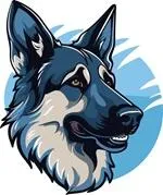 Zoe, a female German Shepherd Dog for sale in Valparaiso, IN – Photo 7 of 7