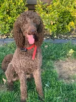 processed/1bc716f5-4e7f-4cb4-a3c2-b548eec67fd3/facility/10e3cb67-7155-4354-a9ea-5a12dcf6d9a0