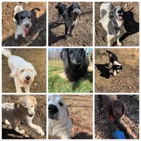 processed/1bc716f5-4e7f-4cb4-a3c2-b548eec67fd3/facility/4e0702a2-1336-42e8-9686-4f39ebe2dd36