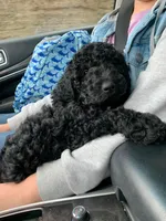 processed/1bc716f5-4e7f-4cb4-a3c2-b548eec67fd3/facility/68716c07-a35d-4580-ac66-a3398fe1ea35