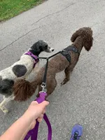 processed/1bc716f5-4e7f-4cb4-a3c2-b548eec67fd3/facility/83f3508a-1a02-4527-a43c-519ae72c4f1c