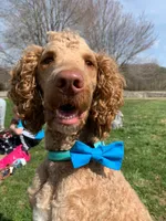 processed/1bc716f5-4e7f-4cb4-a3c2-b548eec67fd3/facility/bb9e65b0-6fdf-4809-9a58-90adb7adb9d9