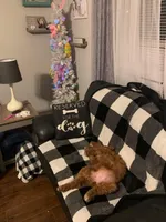 processed/1bc716f5-4e7f-4cb4-a3c2-b548eec67fd3/facility/c81e8cef-5eb5-4bcf-beee-d4ff790eabd6