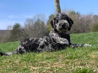 processed/1bc716f5-4e7f-4cb4-a3c2-b548eec67fd3/facility/e0f5acc7-8687-4857-a9f0-c206768053fc