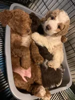 processed/1bc716f5-4e7f-4cb4-a3c2-b548eec67fd3/facility/e1a7ba72-f0d4-42b1-82d7-eeb54f95e219