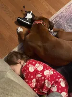 processed/1bd33d20-1694-43aa-997f-f87241c6fa67/facility/09cb56c2-75cb-4174-b2c3-c08c77bd5c5e