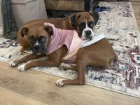 processed/1bd33d20-1694-43aa-997f-f87241c6fa67/facility/3c33e2ee-72d2-4a7e-bffa-cedff24dafcb