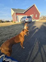 processed/1bd33d20-1694-43aa-997f-f87241c6fa67/facility/74a5d134-5a72-45c9-9205-e72371ef39e2