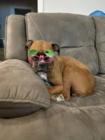 processed/1bd33d20-1694-43aa-997f-f87241c6fa67/facility/838b8f37-e1b1-4286-b7f8-6ce9053ceb7e