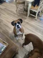 processed/1bd33d20-1694-43aa-997f-f87241c6fa67/facility/88d2550b-2340-454e-b844-58e642ae913c