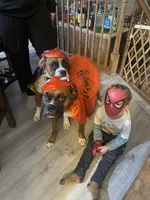 processed/1bd33d20-1694-43aa-997f-f87241c6fa67/facility/9313d2d2-9df2-415d-81cc-4e8c3e765c63