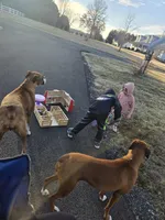 processed/1bd33d20-1694-43aa-997f-f87241c6fa67/facility/a048926f-f89a-4e6a-bcb3-3ad96397e531