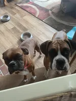 processed/1bd33d20-1694-43aa-997f-f87241c6fa67/facility/f55e5943-da53-47a1-bb8f-11337be4434f