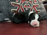 processed/1bd54adc-3987-425b-afb5-306c3475a50e/listing/cf1185e2-df0c-49f3-8919-ab3ab48296d7/8680d2f7-4b19-40a5-b6c1-0ff194ba37ff