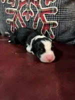 processed/1bd54adc-3987-425b-afb5-306c3475a50e/listing/d6da4cc0-f0a0-43b5-bcc8-768a4cb36182/710d1481-7955-4f3a-8bcd-a0d81fed0ec3