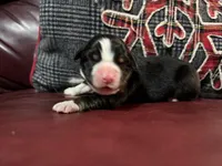 processed/1bd54adc-3987-425b-afb5-306c3475a50e/listing/d9be5db5-a870-4a6c-a387-cfef1d83f437/9d70ed63-ea16-4151-94f3-550fe21d59ad