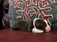 processed/1bd54adc-3987-425b-afb5-306c3475a50e/listing/fb961ed6-8a26-4bb6-a564-ed2325179790/33d00901-d406-42ec-be48-80249b4fc747