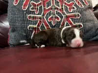 processed/1bd54adc-3987-425b-afb5-306c3475a50e/listing/fb961ed6-8a26-4bb6-a564-ed2325179790/47129e00-2468-446a-99a6-4e32c77d8e40