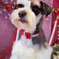 processed/1bdadb7e-de4e-4c1a-abee-25f2527a1729/facility/051b6eb1-fad8-4da9-b43a-b360ab66ae9e