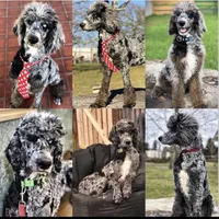 processed/1bdadb7e-de4e-4c1a-abee-25f2527a1729/facility/2641fe7a-c4c8-4f7e-8661-677bf6f6e7f5