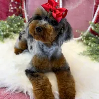 processed/1bdadb7e-de4e-4c1a-abee-25f2527a1729/facility/53510e5c-38aa-4439-9c20-9dae70210ffb