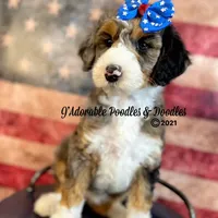 processed/1bdadb7e-de4e-4c1a-abee-25f2527a1729/facility/7a527d03-a5f0-4272-a35c-c544c93b313d