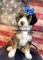 processed/1bdadb7e-de4e-4c1a-abee-25f2527a1729/facility/7a527d03-a5f0-4272-a35c-c544c93b313d