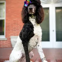 processed/1bdadb7e-de4e-4c1a-abee-25f2527a1729/facility/8aa25631-1d0a-43f0-812d-6d2fda02d5ea