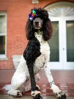 processed/1bdadb7e-de4e-4c1a-abee-25f2527a1729/facility/8aa25631-1d0a-43f0-812d-6d2fda02d5ea