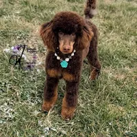 processed/1bdadb7e-de4e-4c1a-abee-25f2527a1729/facility/a80f76dc-fb70-4808-838d-d16f486a02af